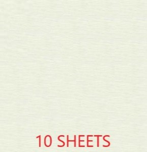 CREPE PAPER PACK OF 10 SHEETS 78X19IN - WHITE EA