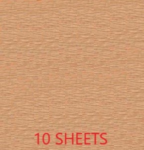 CREPE PAPER PACK OF 10 SHEETS 78X19IN - SALMON EA