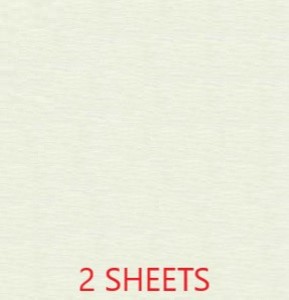 CREPE PAPER PACK OF 2 SHEETS 78X19IN - WHITE EA