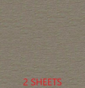 CREPE PAPER PACK OF 2 SHEETS 78X19IN - GREY EA