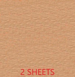 CREPE PAPER PACK OF 2 SHEETS 78X19IN - SALMON EA