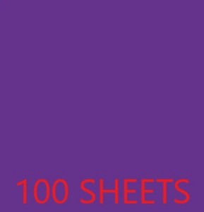 TISSUE PAPER BAG- 100 SHEETS 19.68X29.56IN - PURPLE EA