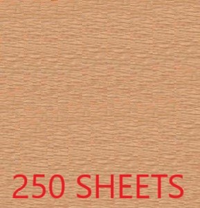 CREPE PAPER CASE OF 250 SHEETS 78X19IN - SALMON EA